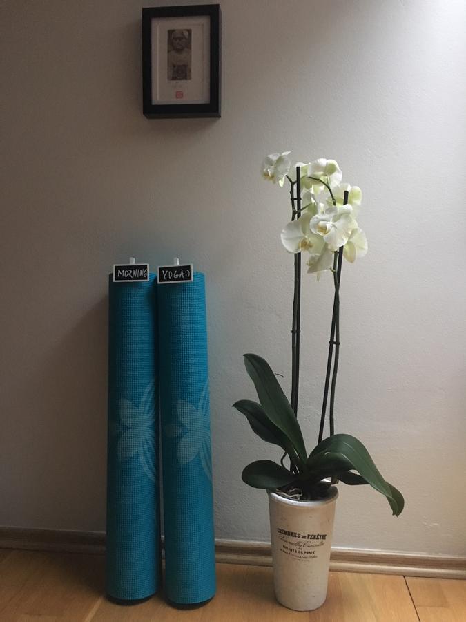 Amazing Angie'S Apartment Прага Экстерьер фото
